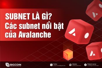 What Is A Subnet Notable Subnets On Avalanche